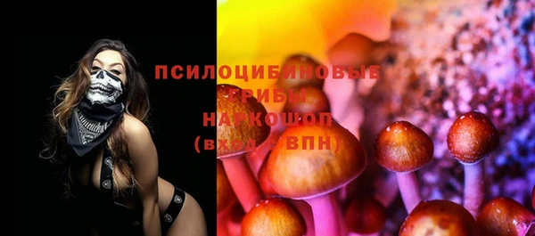 ECSTASY Горняк