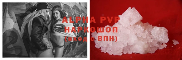 ECSTASY Горняк