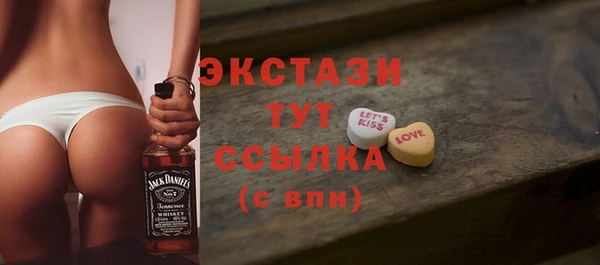 ECSTASY Горняк