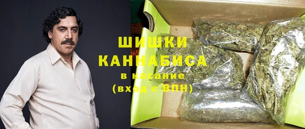 ECSTASY Горняк