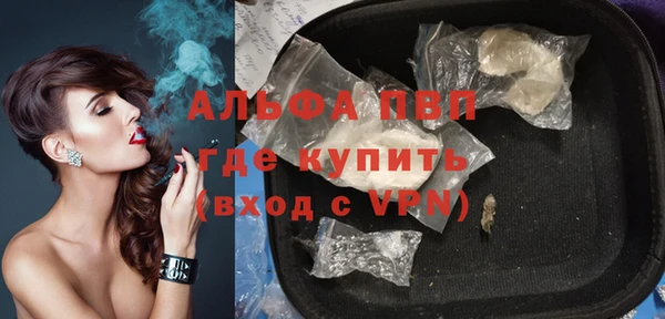 ECSTASY Горняк