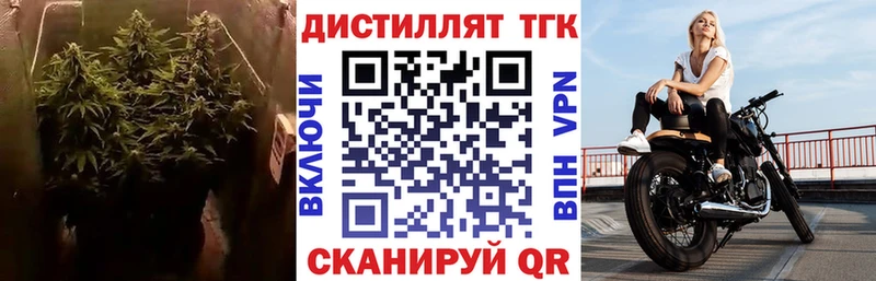 MEGA ссылки  Заводоуковск  ТГК Wax 